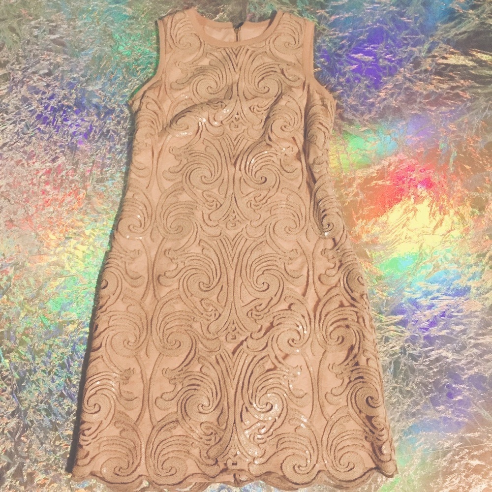 Vince Camuto Blush Lace Dress - Picture 1 of 13
